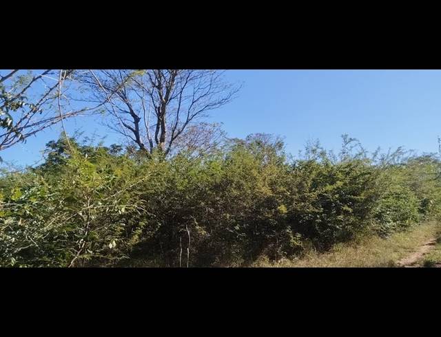 FARM FOR SALE IN TSWINGA